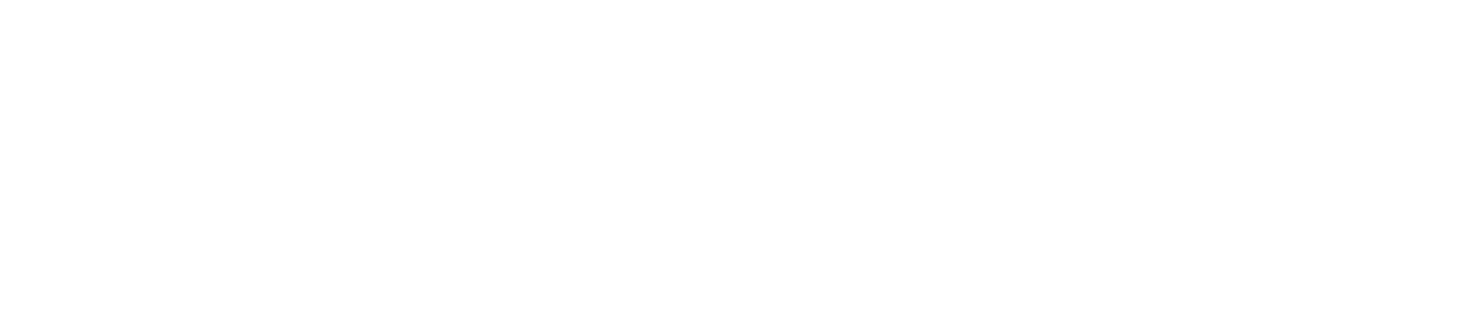 vs-logo-img